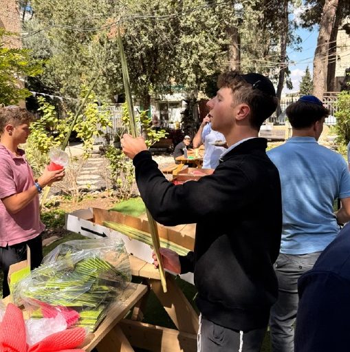 A talmid choosing a lulav at the arba minim market